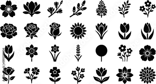 Floral line art collection featuring cherry blossom, magnolia, and more
