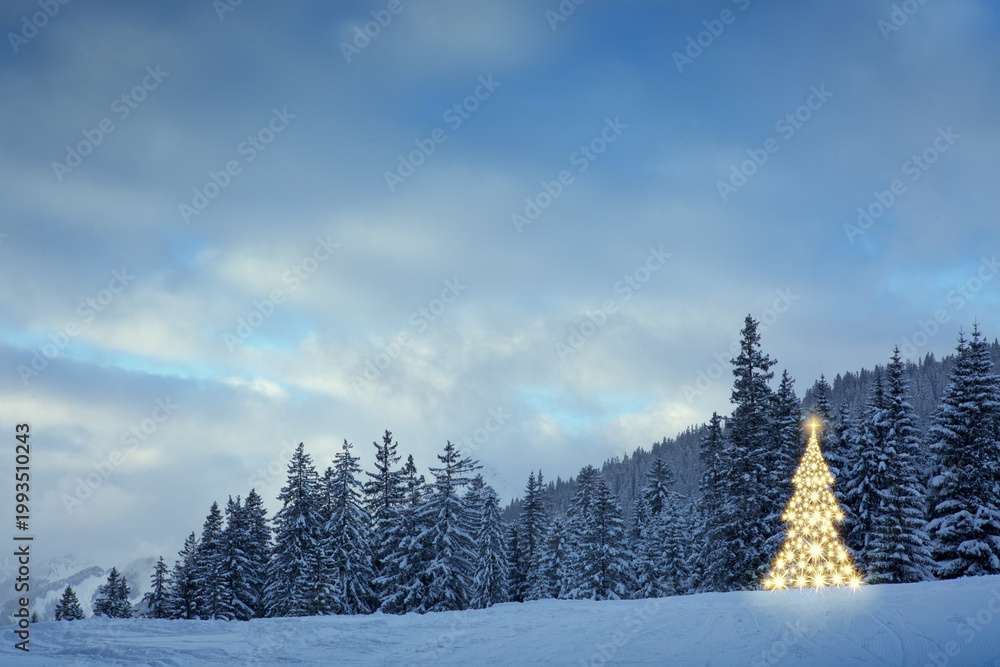 Naklejka premium Christmas tree in the winter forest at night .