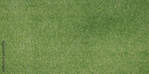 Green grass field for background or texture