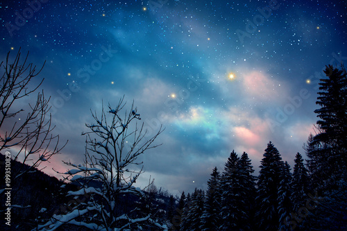 Starry night sky over trees silhouette, winter background.