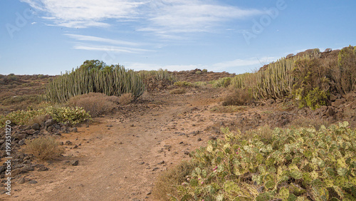 Photography Hiking trail thorugh the shrubland of Malpais de la Rasca, Tenerife, Canary isla