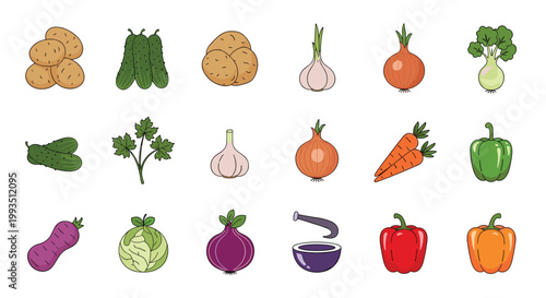 Comprehensive collection of various fresh garden vegetables like potato, cucumber, onion, carrot, pepper, and eggplant for healthy cooking.