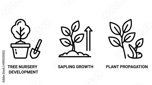 Set of nature icons showing plant life stages including tree nursery sapling growth propagation with propagation gardening development seedling agriculture environment cultivation gardener