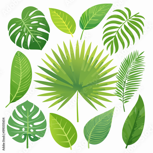Tropische Blätter Set