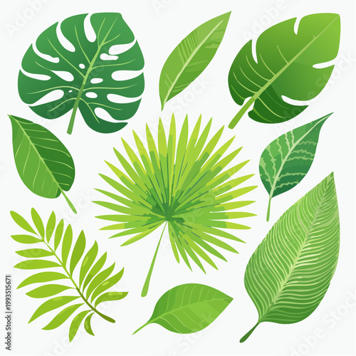 Tropische Blätter Set
