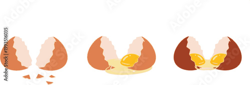 Cracked Egg Set with Broken Shell and Exposed Yolk for Cooking, Food, and Culinary Illustrations