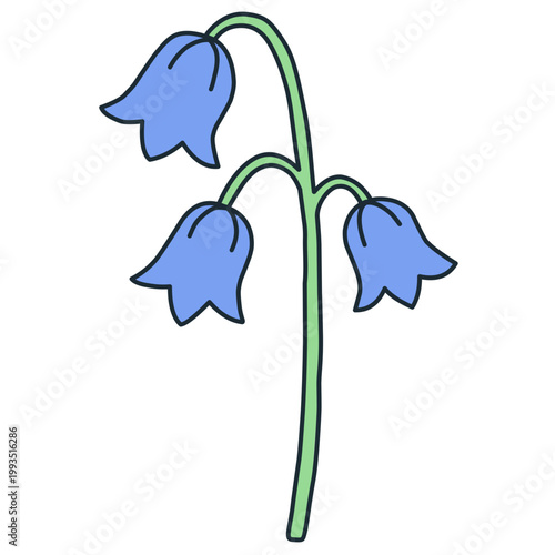 Bluebell Flower Illustration