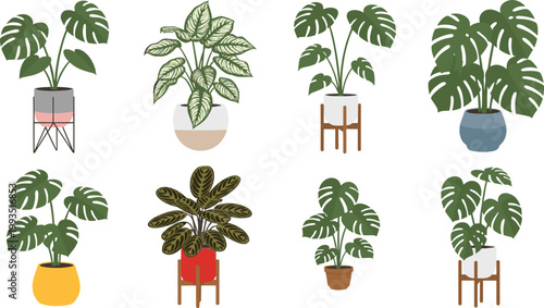 Cartoon illustrated tropical potted houseplants with Monstera Calathea Dieffenbachia leaves in colorful decorative pots indoor botanical creative artwork scene