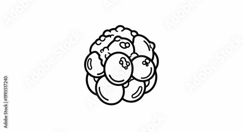 A cluster of round, dark berries with small dots and leaf-like shapes