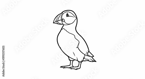 Black and white line drawing of a puffin facing left
