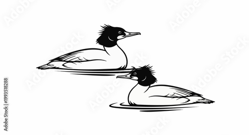 Two cartoon-style ducks with spiky head feathers swim on water