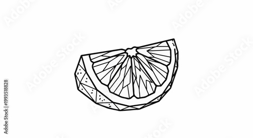 Stylized outline of a citrus fruit slice with geometric segments