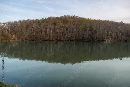 Serene Lake with Forest Reflection at Dusk