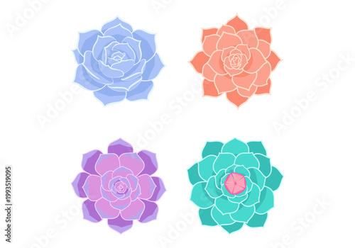 Top View of Beautiful Succulent Flower Plants in Pastel Colors, Geometric Floral Mandalas, Desert Botany Echeveria Collection Isolated on White Background for Wedding Invitation and Interior Decor Art