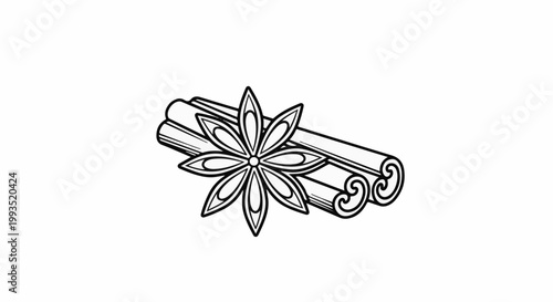 Star anise and cinnamon sticks outline