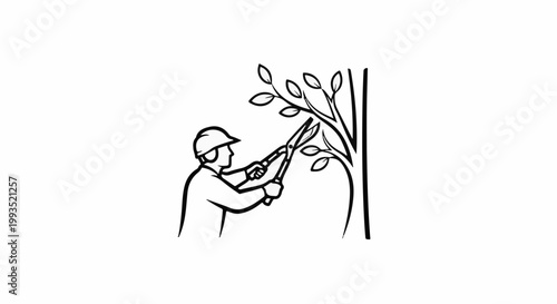 Gardener pruning branches with shears