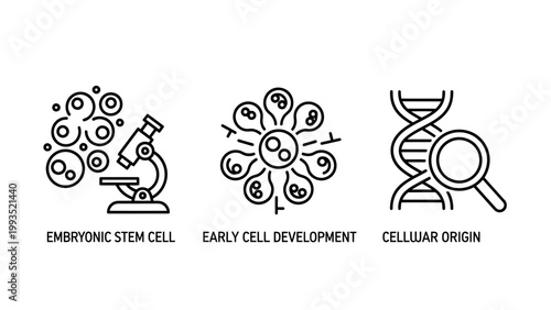 Set of biological research and scientific discovery icons depicting embryonic stem cell early cell development cellular origin with research development microscope genetics scientific laboratory