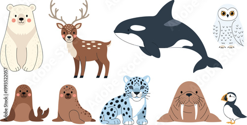 

Cute Arctic and polar Animal Collection Flat Vector Illustration Set with Bear Whale Seal Walrus and Snow Leopard
