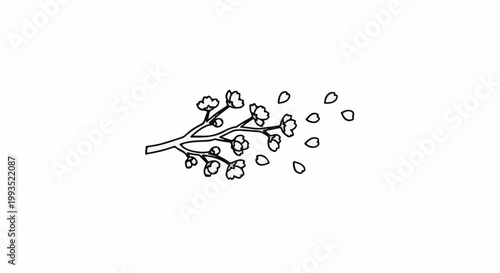 Delicate outline of a cherry blossom branch with petals scattering in the wind