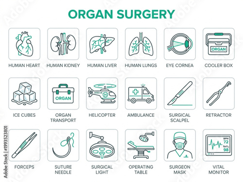 Professional organ surgery and transplant icon set featuring human anatomy, specialized medical transport, and advanced surgical operating room tools