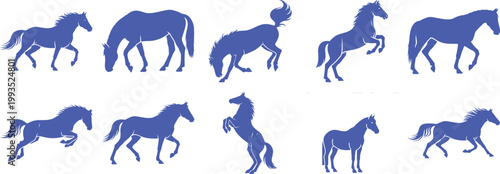 Collection of blue horse silhouettes in various active and static poses on a white background Vector, illustration