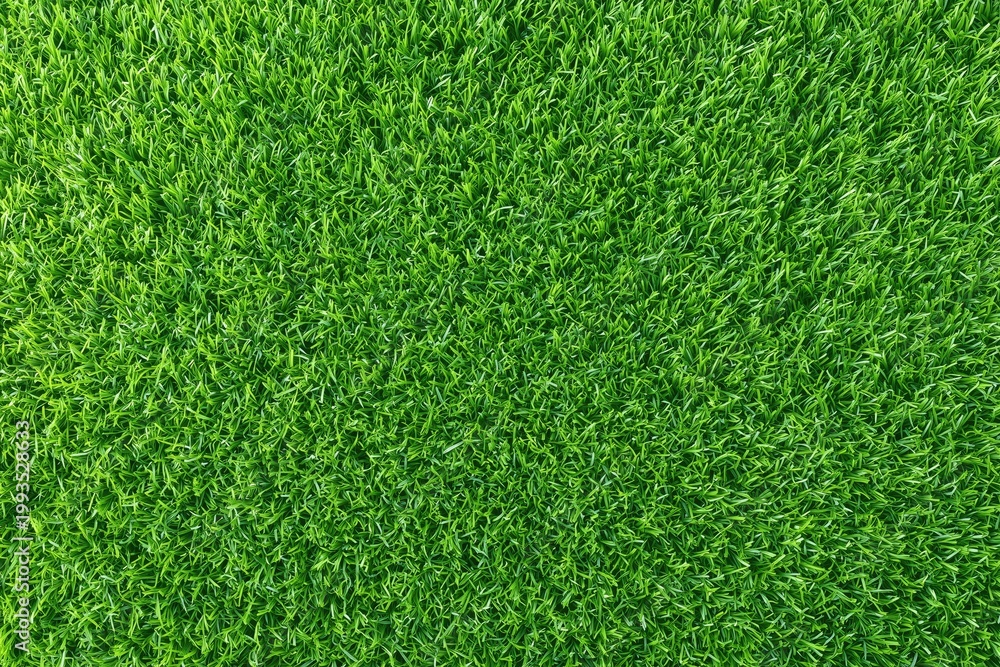 Fototapeta premium Vibrant lush green grass texture in sunlight
