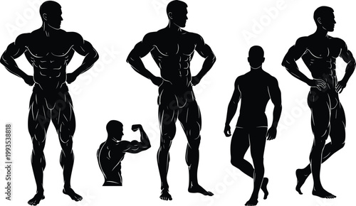 Muscular male silhouettes collection bodybuilding poses fitness anatomy strength athletic body isolated vector illustration
