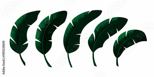 A collection of vibrant dark green tropical banana leaves arranged vertically
