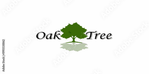 Graphic illustration of an oak tree with text labeling and reflection