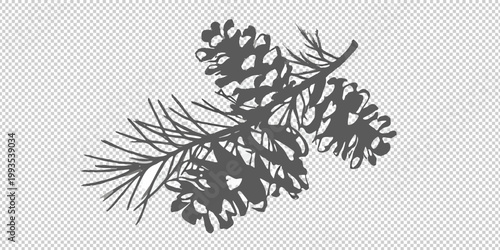 A detailed black silhouette illustration of two pine cones and needles