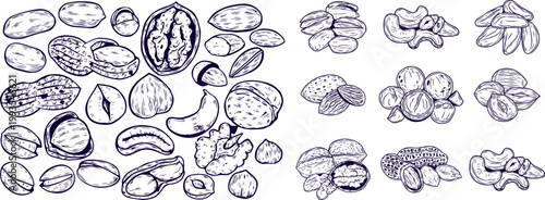 Vintage Hand Drawn Nuts Set with Seeds and Grains Detailed Sketch Icons Monochrome Food Illustration