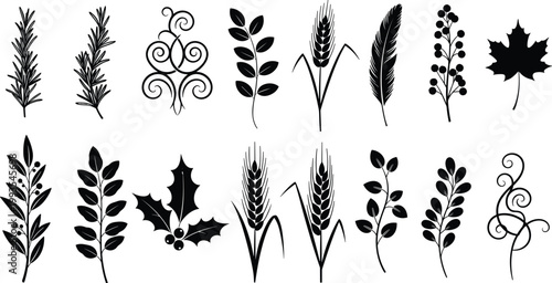Decorative Plant and Leaf Icon Set with Elegant Designs, Herbs, and Floral Elements for Nature and Botanical Illustration