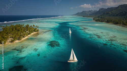 stunning display of tropical leaves combined with geometric shapes against clean background