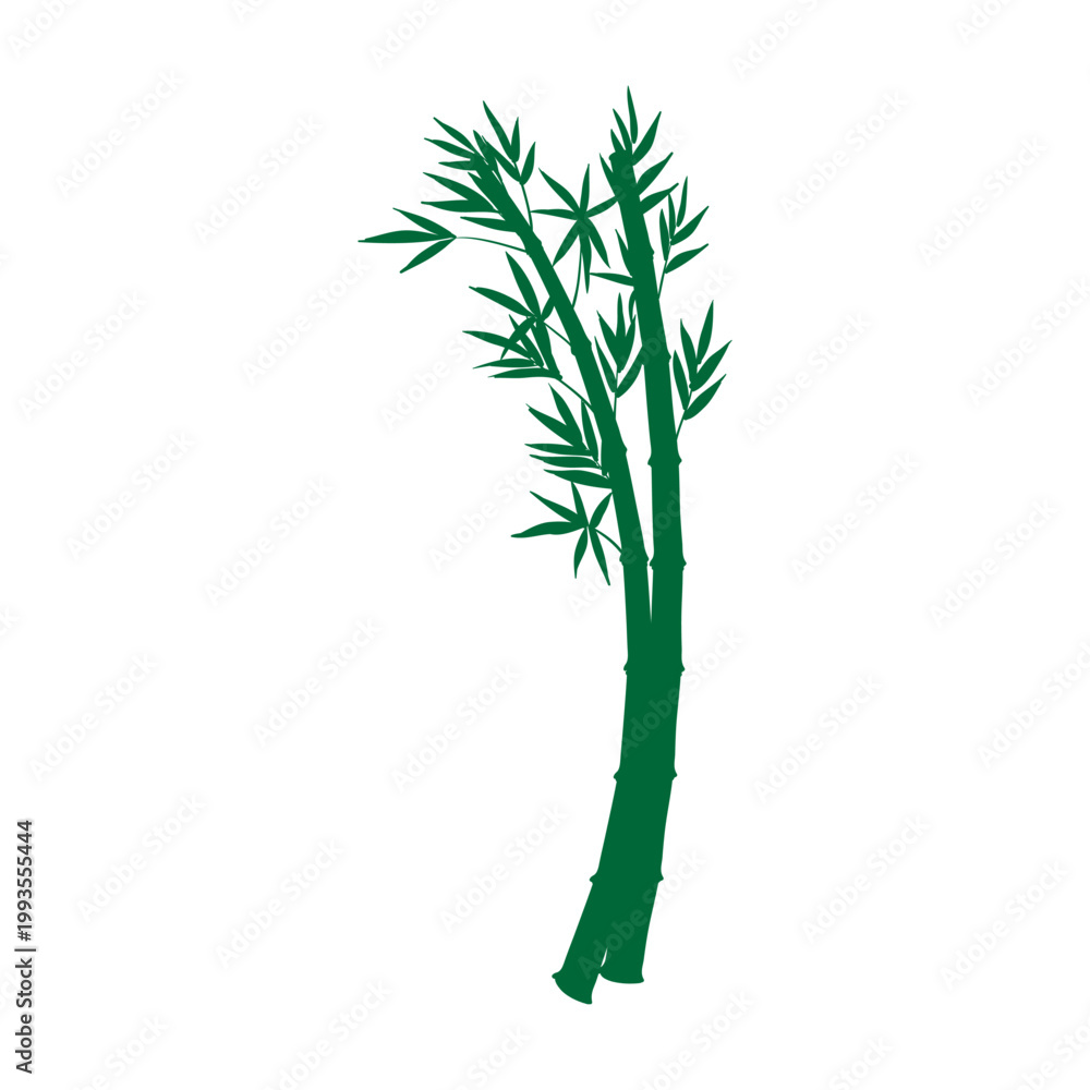 Obraz premium Green silhouette of bamboo stalks with leaves isolated on white background. Minimalist botanical illustration of Asian bamboo plant vector art. 