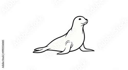 A simple black and white outline drawing of a seal on a plain background