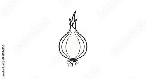 A simple black and white line drawing of a whole onion with roots