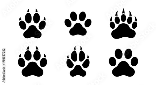 Animal paw print vector set, black predator footprints with claws, 6 wild animal track icons, grizzly bear and wolf paw silhouettes