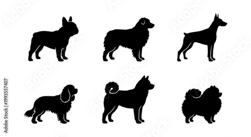 Dog breed silhouettes collection, set of 6 black canine vector icons, purebred dog profile shapes for pet shop branding and veterinary clinic logos