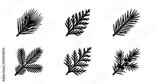 Hand drawn evergreen branches collection, set of 6 black conifer leaf silhouettes, rustic pine and fir needle vector illustrations for winter holiday decor