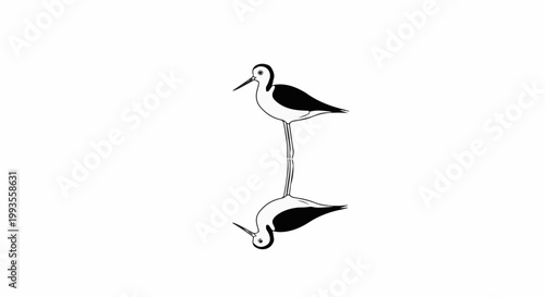 Black and white stylized bird with reflection on white background
