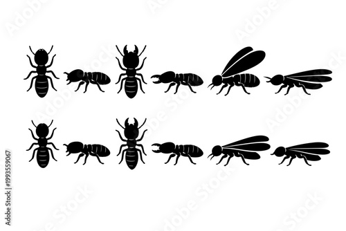 Set of black termite insect silhouettes showing different castes like worker, soldier with mandibles, and winged alate in top and side views for pest control, entomology, and biology research.