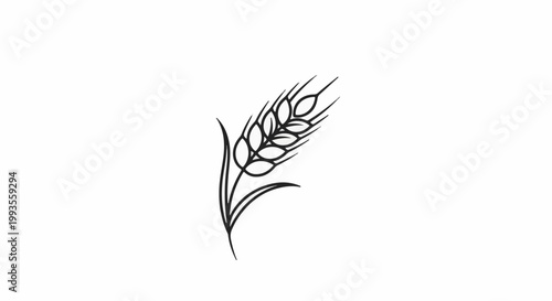 Stylized illustration of a single wheat stalk with leaves, isolated on white
