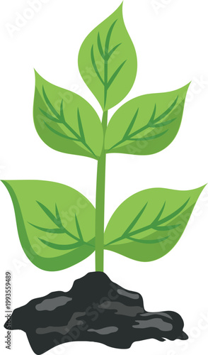 tree with leaves