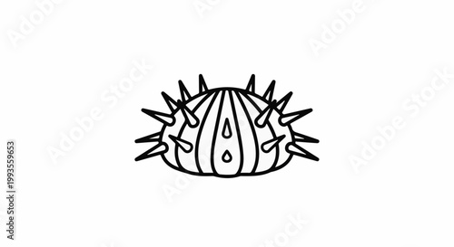 Simple line art drawing of a spiky sea urchin on white background