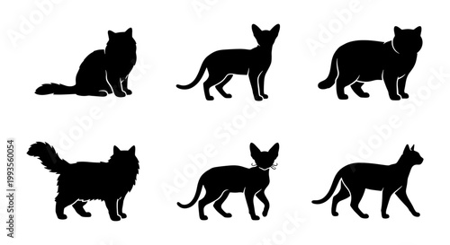 Black cat silhouettes collection, set of 6 domestic feline vector icons, standing and sitting pet animal shapes, minimalist kitten profile graphics