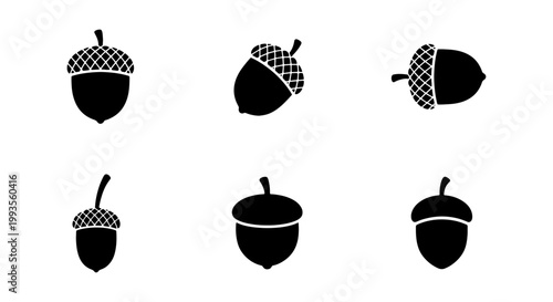 Minimalist acorn icon set, black oak nut silhouettes, collection of 6 forest seed vector symbols for autumn branding and nature logos