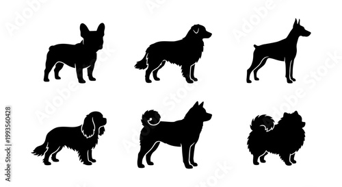 Black dog silhouettes collection, set of 6 canine breed vector icons, minimalist pet animal profile graphics for logos and signage