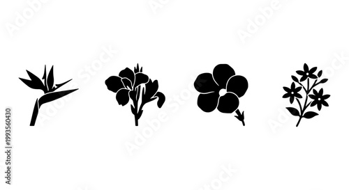 Tropical flower silhouettes set of 4 black vector icons, exotic floral botanical elements, bird of paradise and hibiscus blossom shapes for logo design