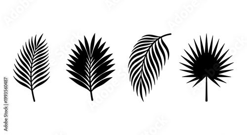 Tropical palm leaf silhouettes set, black botanical foliage vector icons, minimalist exotic jungle leaves collection for summer branding and logo design