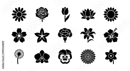 Minimalist flower icon set, 15 black floral vector silhouettes, botanical blossom symbols for logo design and wedding invitations
